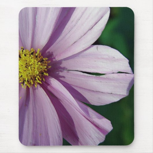 破れた マウスパッド (正面)