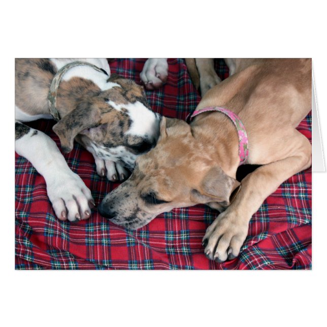 破壊者およびヒスイ (正面横)