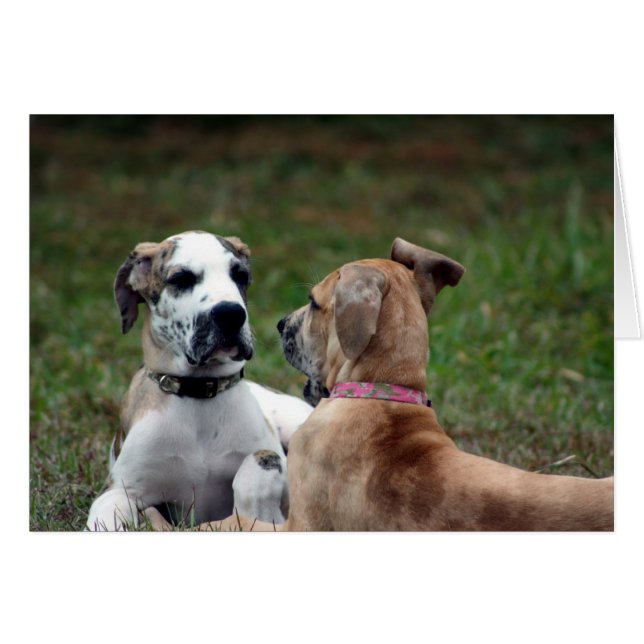 破壊者およびヒスイ3 (正面横)