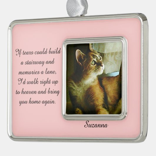 破損が階段のオーナメントを造ることができれば シルバープレートフレームオーナメント (左)