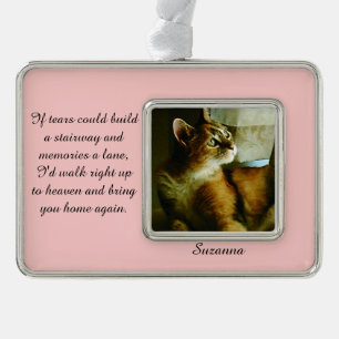 破損が階段のオーナメントを造ることができれば シルバープレートフレームオーナメント