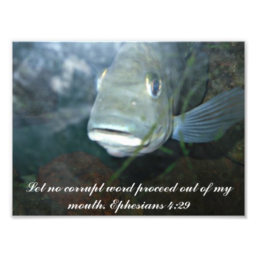 破損した単語の写真を表示しない フォトプリント            (正面)