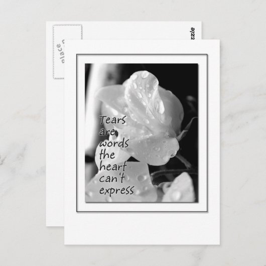 破損 ポストカード (正面/裏面)