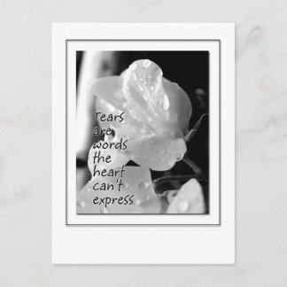 破損 ポストカード