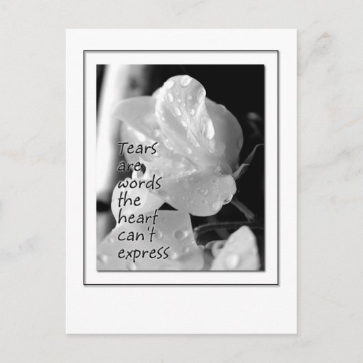 破損 ポストカード (正面)