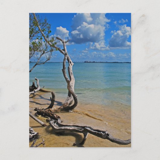 破片からブラインド通過 ポストカード (正面)