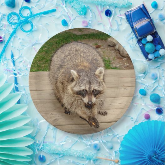 破片を持つアライグマ ペーパープレート (パーティー)