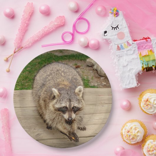 破片を持つアライグマ ペーパープレート (パーティー)