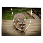 破片を持つアライグマ ラージペーパーバッグ (裏面)