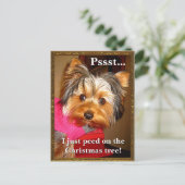 破裂させたヨークシャーテリア シーズンポストカード (スタンド正面)