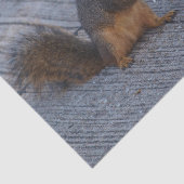 破裂音のリス 薄葉紙 (詳細)