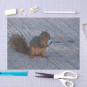 破裂音のリス 薄葉紙 (クラフト)