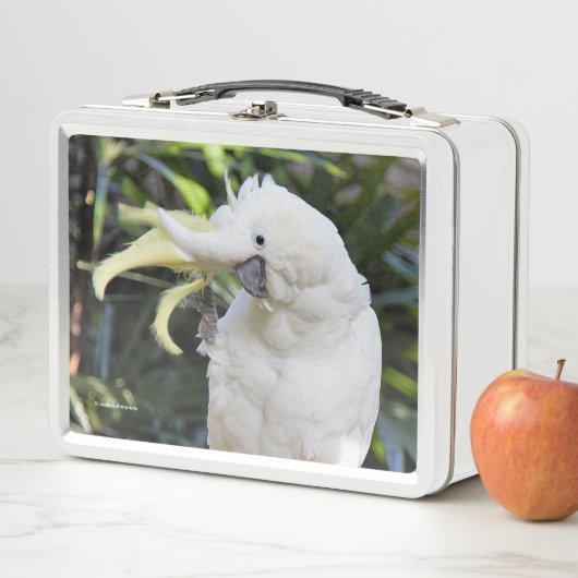 硫黄おもしろい紋付きオウム鳥 メタルランチボックス (インサイチュ)
