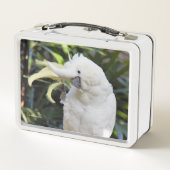 硫黄おもしろい紋付きオウム鳥 メタルランチボックス (裏面)
