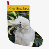 硫黄おもしろい紋付きオウム鳥 ラージクリスマスストッキング (正面)