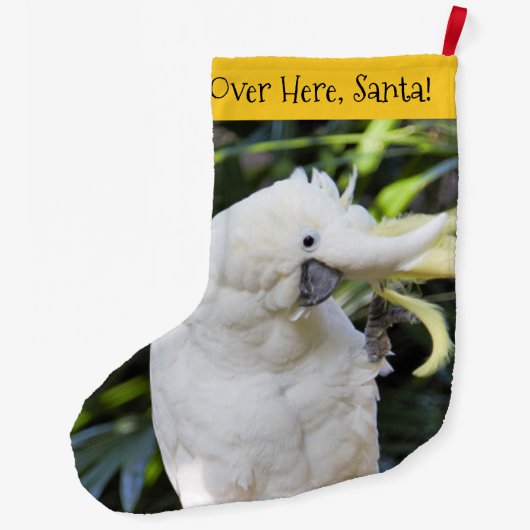 硫黄おもしろい紋付きオウム鳥 ラージクリスマスストッキング (裏面)