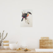 硫黄と白のトーカン、19世紀 ポスター (キッチン)