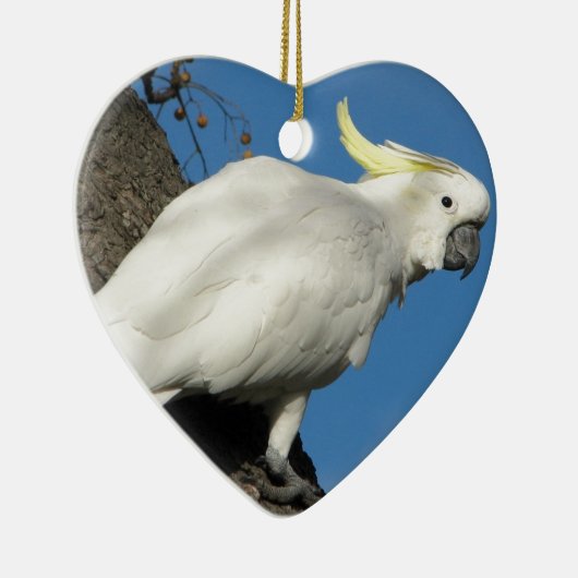 硫黄によって頂点に達されるオウム セラミックオーナメント (右)