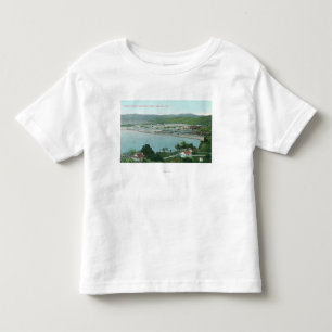 硫黄の空中写真は水銀鉱山を取引します トドラーTシャツ