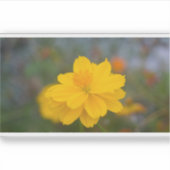 硫黄コスモス01 シール (正面)