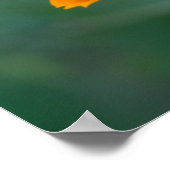 硫黄コスモス01 ポスター (角)