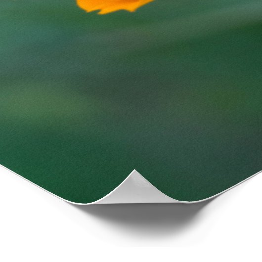 硫黄コスモス01 ポスター (角)