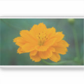 硫黄コスモス02 シール (正面)