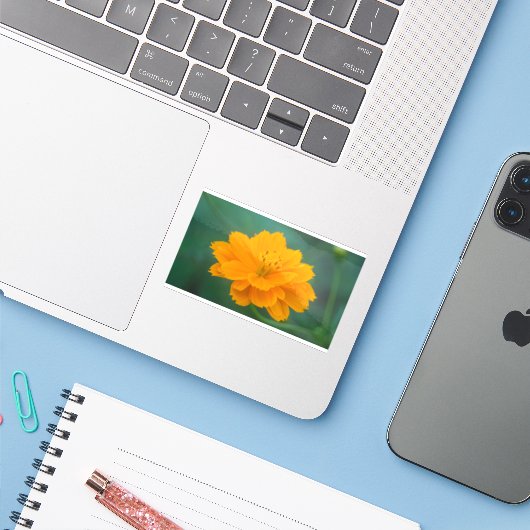 硫黄コスモス02 シール (ノートパソコンとiPhone)