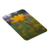 硫黄コスモス02 マグネット (右側)