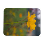 硫黄コスモス02 マグネット (横)