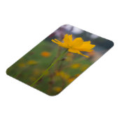 硫黄コスモス02 マグネット (左側)