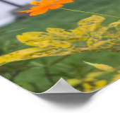 硫黄コスモス03 ポスター (角)