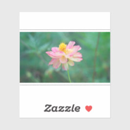 硫黄コスモス04 シール