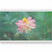 硫黄コスモス04 シール (正面)