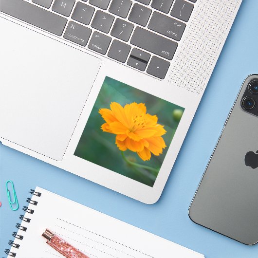 硫黄コスモス04 シール (ノートパソコンとiPhone)
