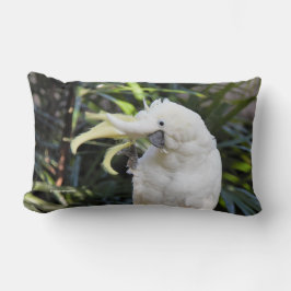 硫黄フレンドリー紋付きコカト波こんにちは ランバークッション