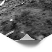 硫黄島 ポスター (角)