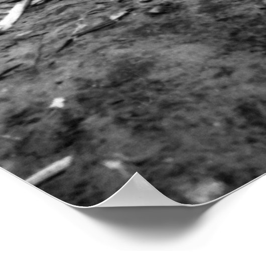 硫黄島 ポスター (角)