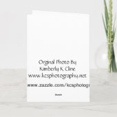 「硫黄島」退役軍人のデイカード サンキューカード (裏面)