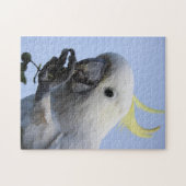 硫黄頂点に達されたオウムのパズル ジグソーパズル (横)