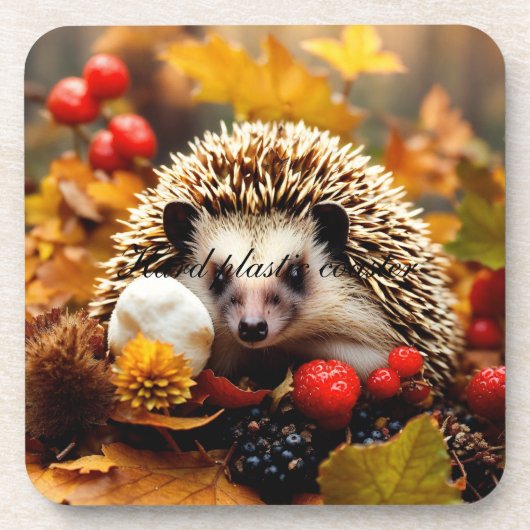 硬いプラスチックのコースター コースター (正面)