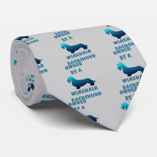 硬い毛のダックスフントによって所有される ネクタイ (ロール)