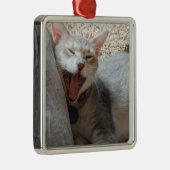 碧玉のあくびをする子ネコの写真の正方形の飾り金具 メタルオーナメント (右)
