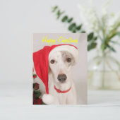 碧玉クリスマス犬 シーズンポストカード (スタンド正面)