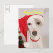 碧玉クリスマス犬 シーズンポストカード (正面/裏面)