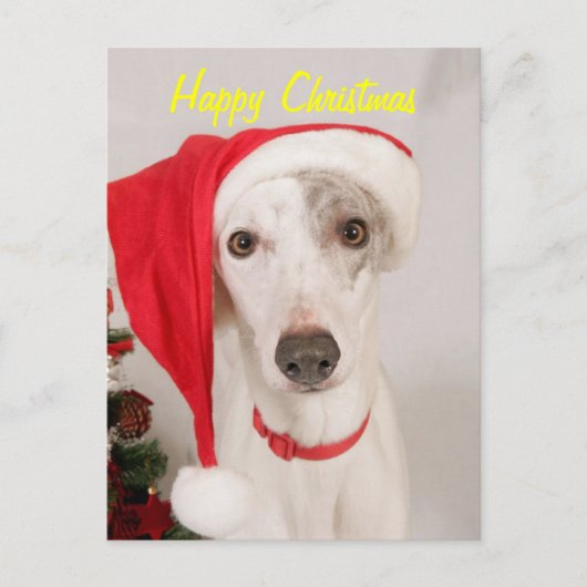 碧玉クリスマス犬 シーズンポストカード (正面)