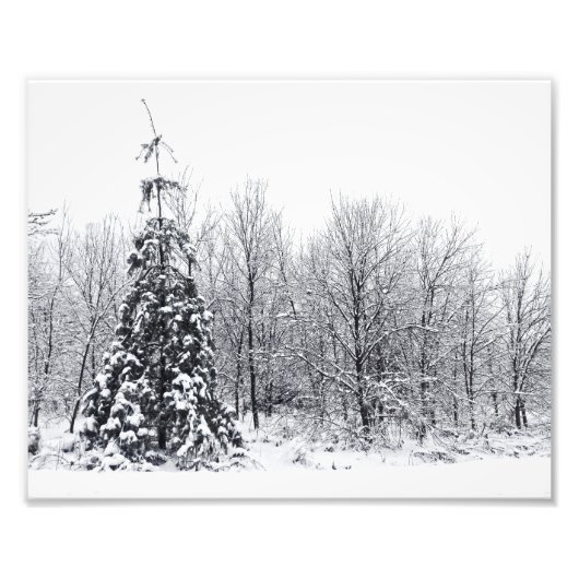 確かな分離 フォトプリント            (正面)