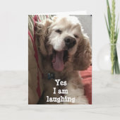 確かに笑....今日は**60** カード (正面)