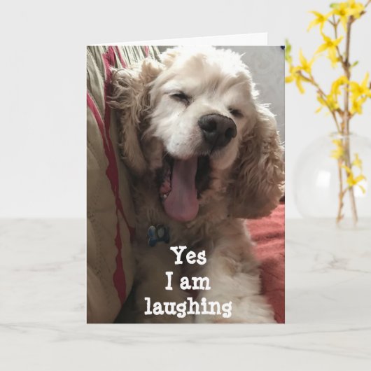 確かに笑....今日は**60** カード (黄色い花)