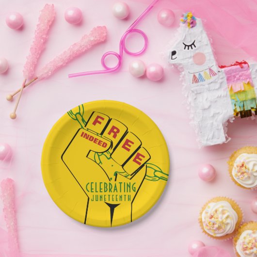 確かに自由な十二分の一 ペーパープレート (パーティー)